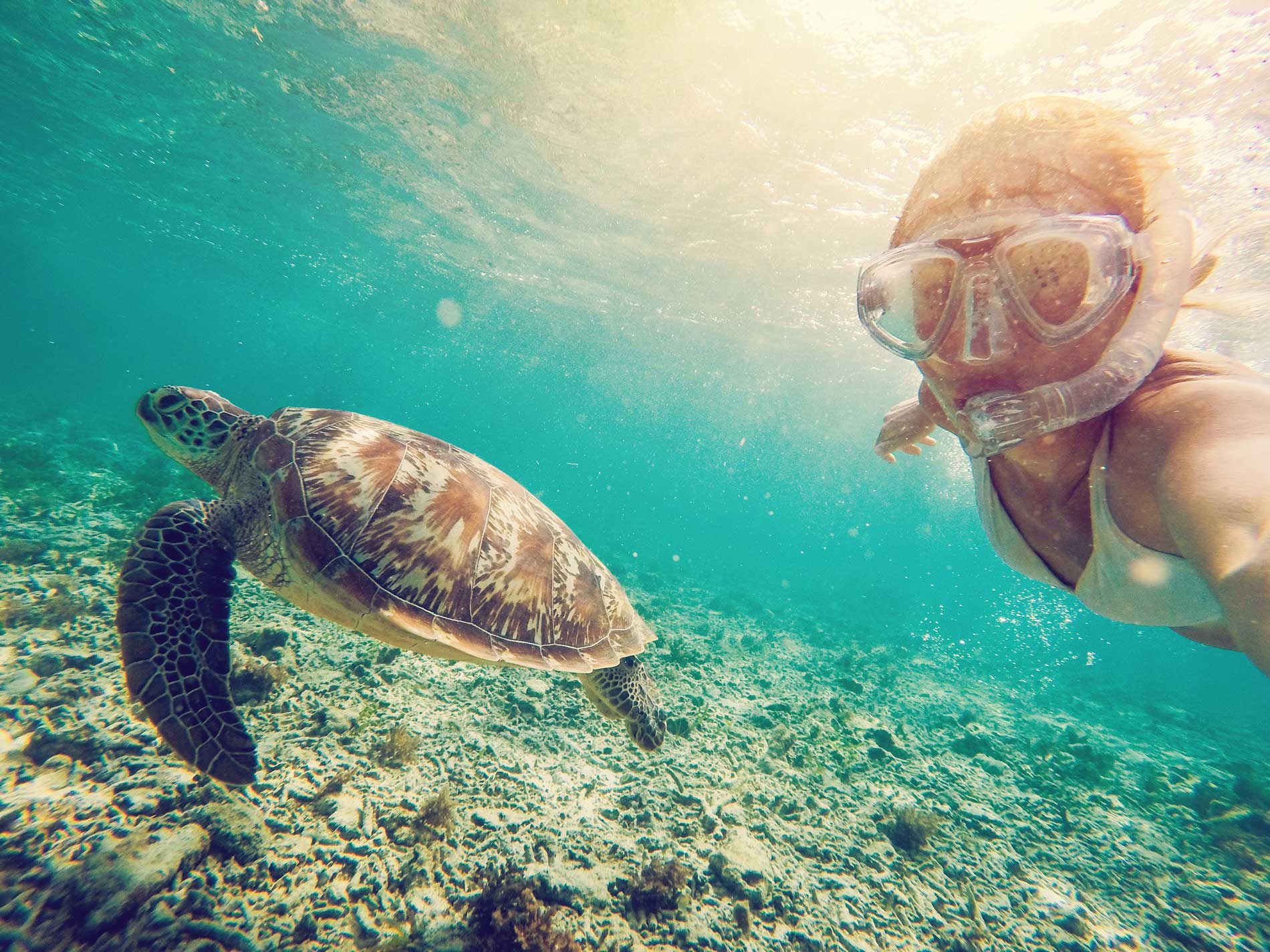Bali — swimming with turtles in the Gili Islands