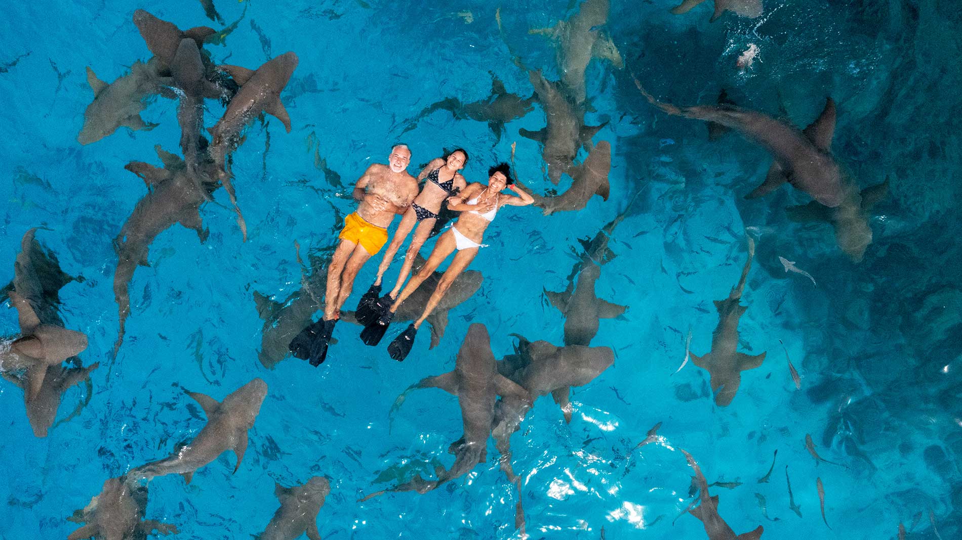 Maldives — snorkelling with sharks in crystal-clear water