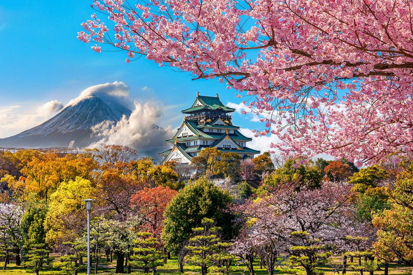 Japan holidays from Australia — pagoda and cherry blossoms in Kyoto