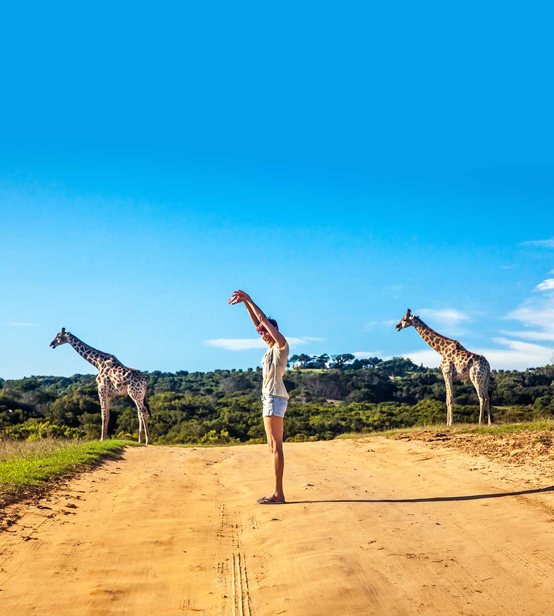Why Australians love Africa — elephants on the savannah at golden hour
