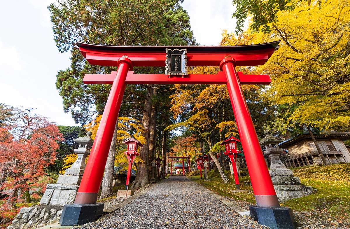 Japan holidays from Australia — a temple framed by cherry blossom in Kyoto