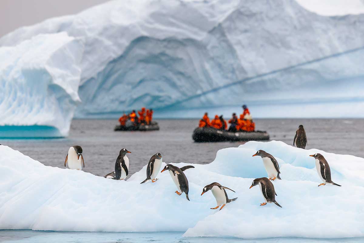 Antarctica expedition cruise