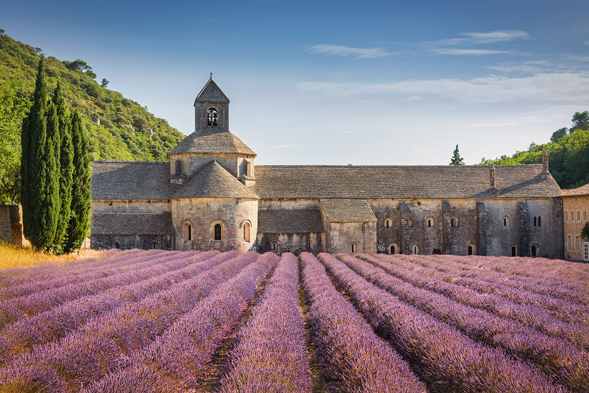 France escorted tour — Paris and the French countryside